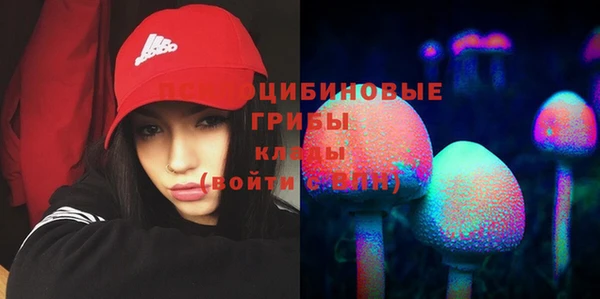 ГАЛЛЮЦИНОГЕННЫЕ ГРИБЫ Алексин